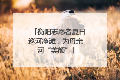 衡阳志愿者夏日巡河净滩，为母亲河“美颜”